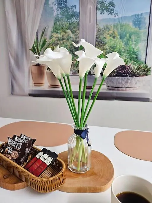 Oasis Apartment Seoul South Korea
